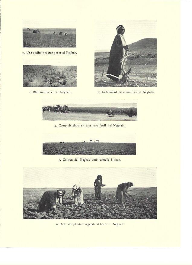 LAMINA 36258: Imágenes del Negheb