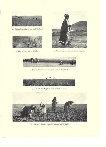 LAMINA 36258: Imágenes del Negheb
