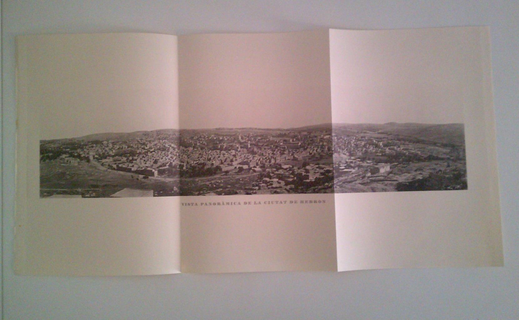 LAMINA 36244: Vista panoramica de Hebron