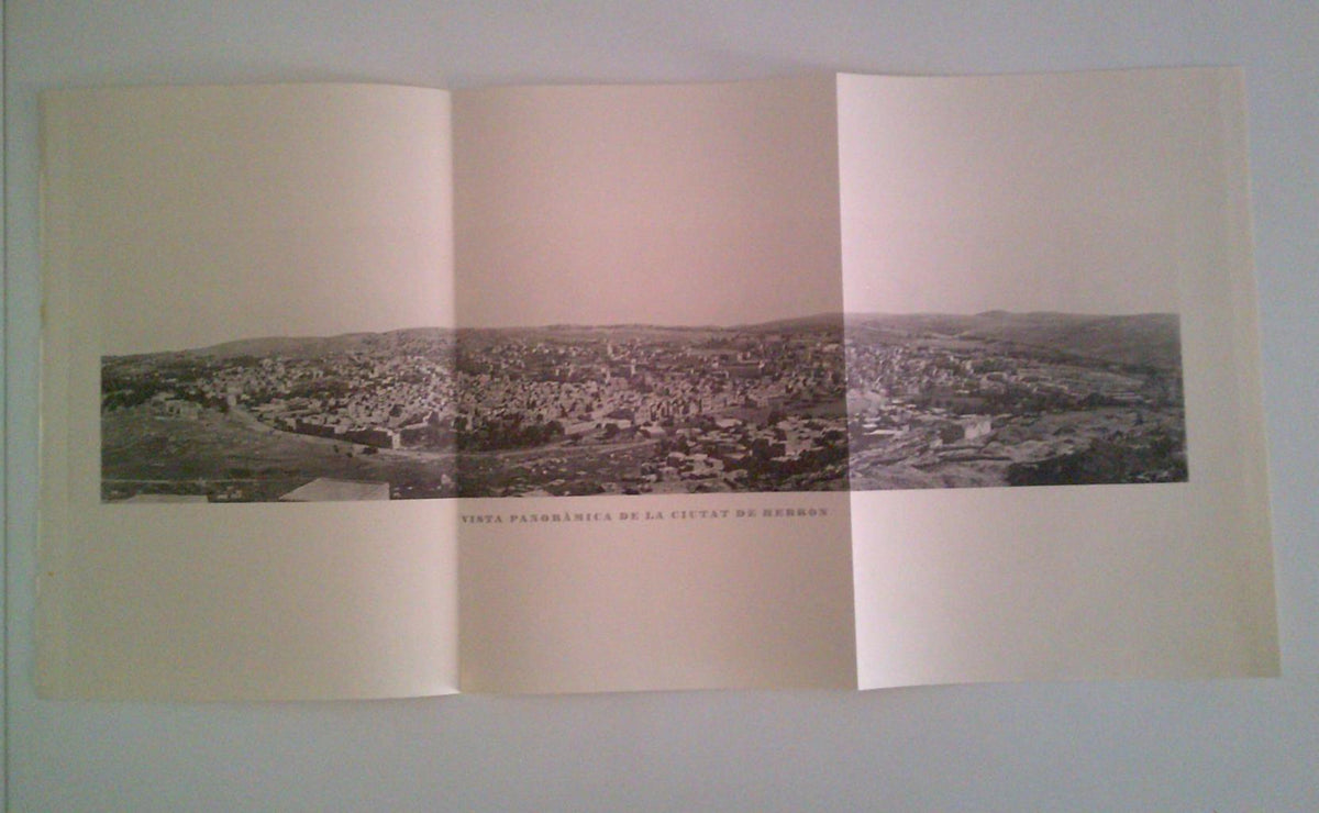 LAMINA 36244: Vista panoramica de Hebron