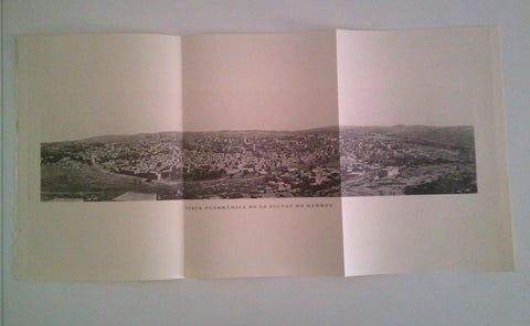 LAMINA 36244: Vista panoramica de Hebron