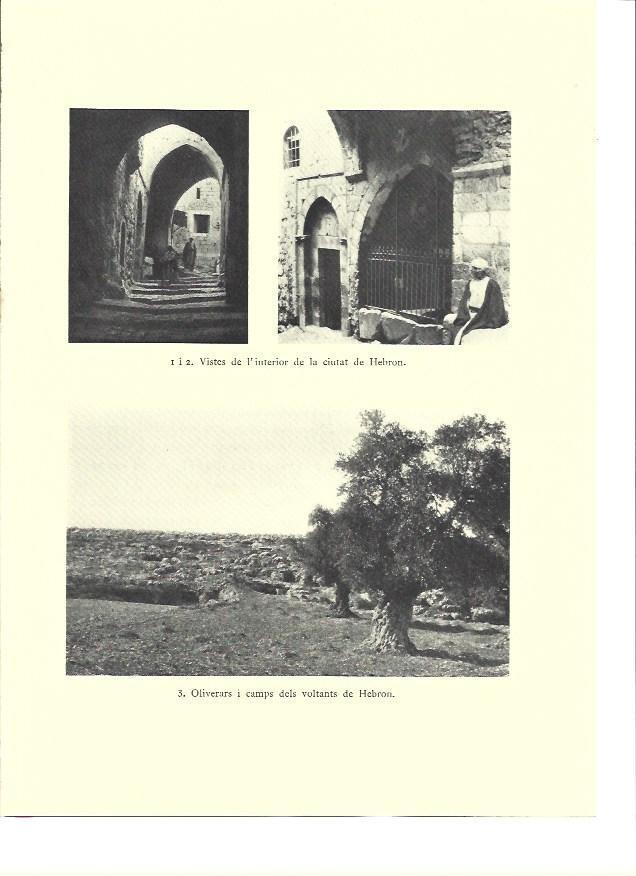 LAMINA 36245: Interior de la ciudad de Hebron