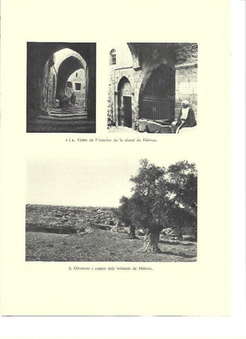 LAMINA 36245: Interior de la ciudad de Hebron