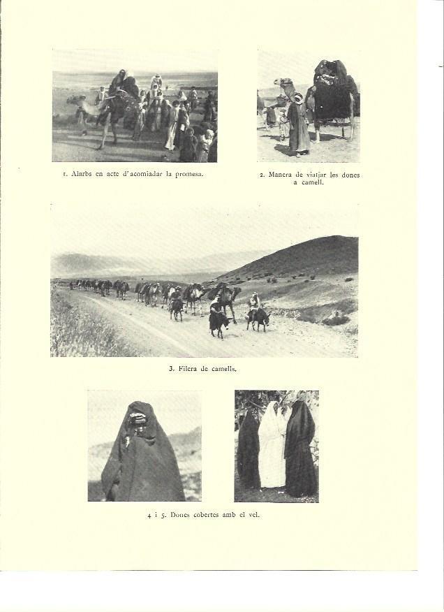 LAMINA 36254: Mujeres de Siria con velo