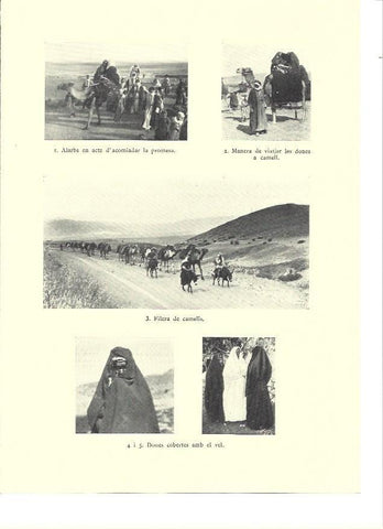 LAMINA 36254: Mujeres de Siria con velo