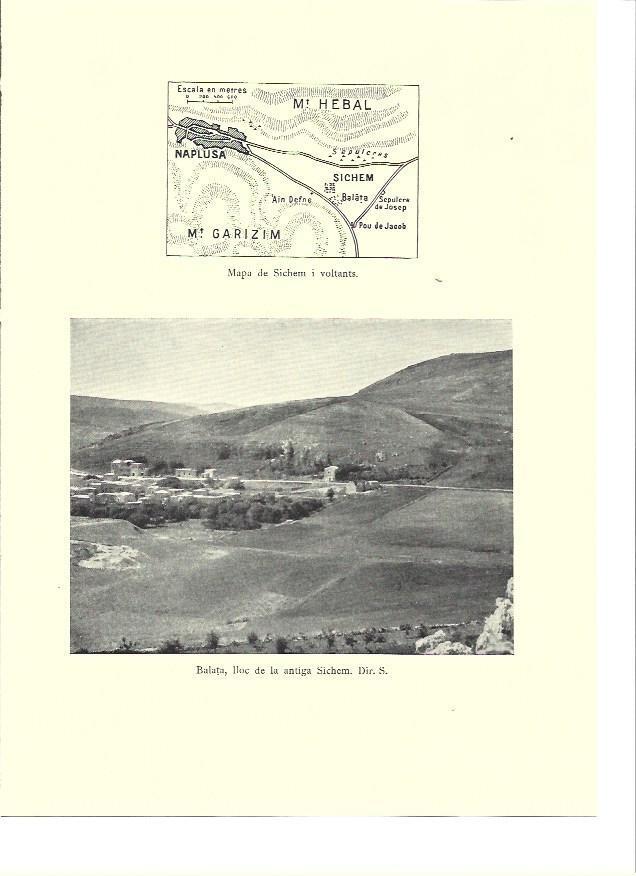 LAMINA 36203: Vista de Balata