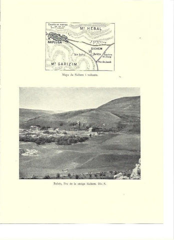 LAMINA 36203: Vista de Balata