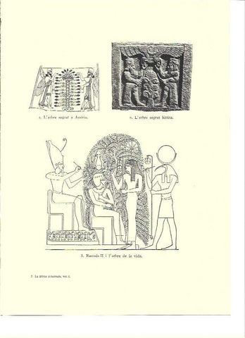 LAMINA 36167: Arbol sgrado de Asiria, de los Hititas y Egipto
