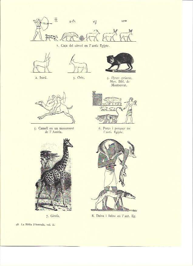 LAMINA 36141: Animales del antiguo Egipto