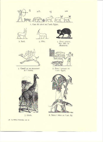 LAMINA 36141: Animales del antiguo Egipto