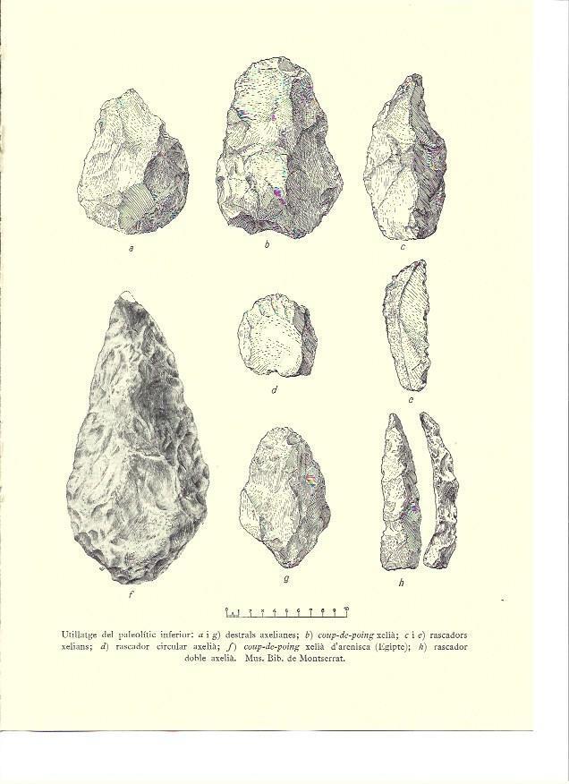 LAMINA 36170: Utensilios del Paleolitico inferior