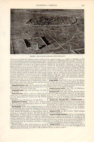 LAMINA V39745: Ruinas de la mezquita de Samarra