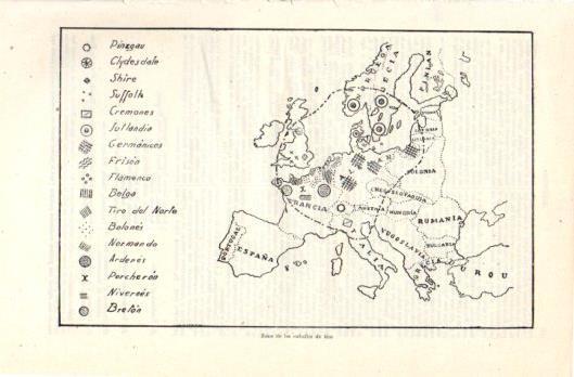 LAMINA V39265: Mapa de Europa localizacion de caballos de tiro