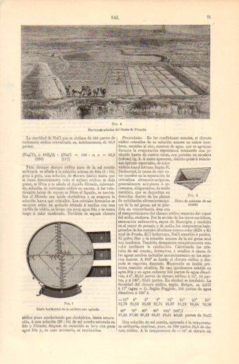 LAMINA V39285: Marismas saladas del Oeste de Francia