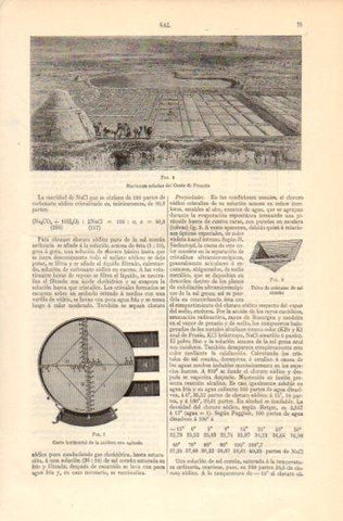 LAMINA V39285: Marismas saladas del Oeste de Francia