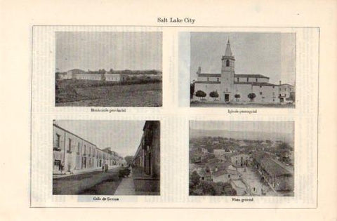 LAMINA V39314: Vistas de Salt Lake City