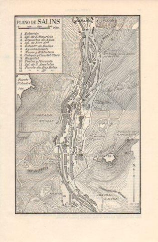 LAMINA V39325: Plano de Salins