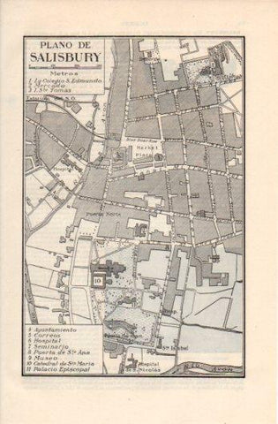 LAMINA V39326: Plano de Salisbury