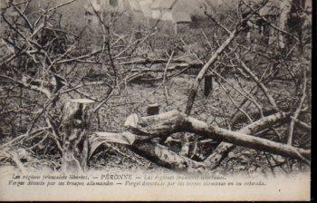 POSTAL PV09905: Vergel devastado por las tropas alemanas, Peronne