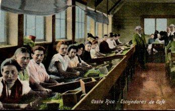 POSTAL PV09961: Escojedoras de cafe, Costa Rica