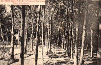 POSTAL PV09781: American Lake Gava Hotel Restaurante, Bosque