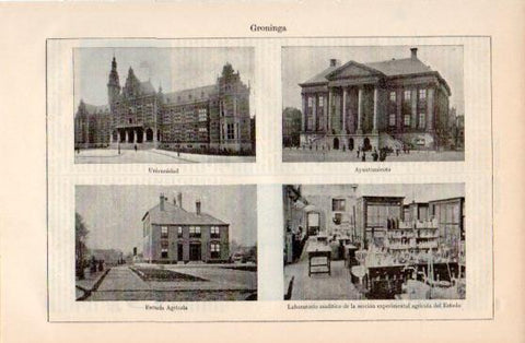 LAMINA V40087: Universidad, Ayuntamiento, Escuela Agricola y Laboratorio en Groninga