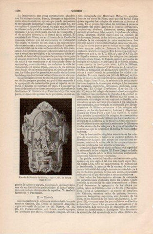 LAMINA V40070: Escudo del Gremio de silleros de Brujas siglo XVIII