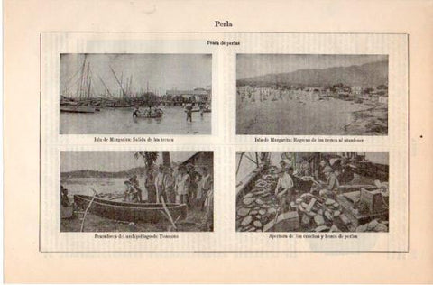 LAMINA V39880: Pesca de perlas