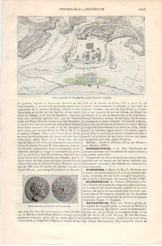 LAMINA V39855: Plano de Persepolis por Perrot y Chipiez
