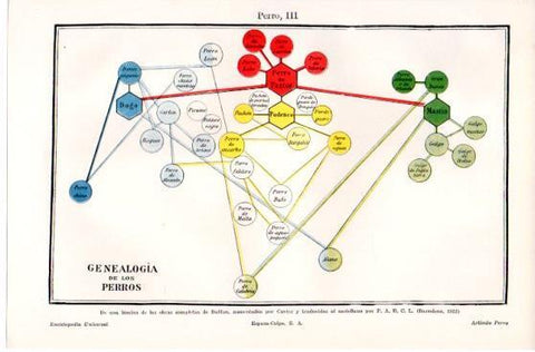 LAMINA V39883: Genealogia de los perros