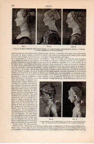 LAMINA V39819: Retratos de damas en Galeria de los Oficios Florencia