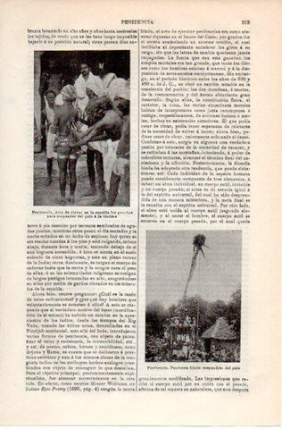 LAMINA V39794: Penitente hindu suspendido en un palo