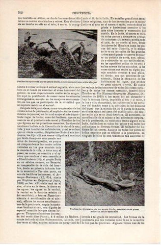 LAMINA V39793: Penitencias ejecutadas por un asceta hindu