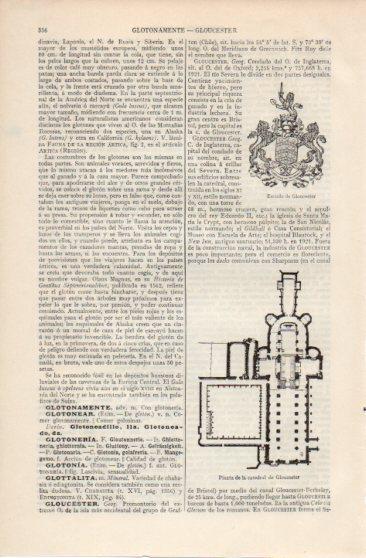 LAMINA V39967: Escudo y planta de la Catedral de Gloucester