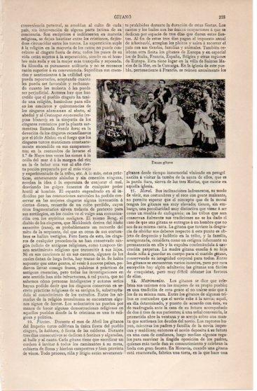 LAMINA V39956: Danza gitana