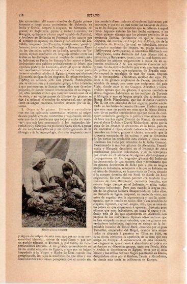 LAMINA V39954: Madre gitana de Hungria