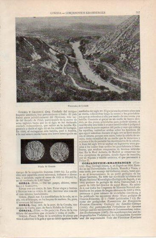 LAMINA V39987: Panorama de Gorizia 