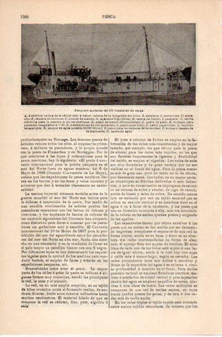 LAMINA V39905: Pesquero moderno de 100 toneladas de carga