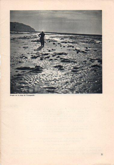 LAMINA V40342: Braque sur la plage de Varengeville