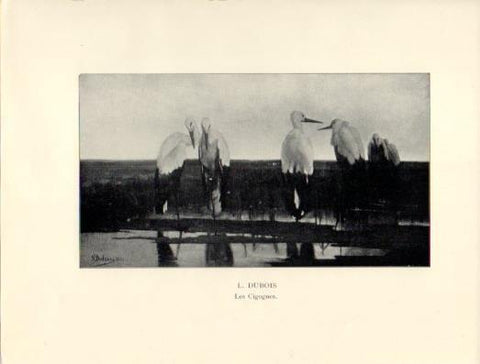 LAMINA V40364: Les Cigognes, L. Dubois