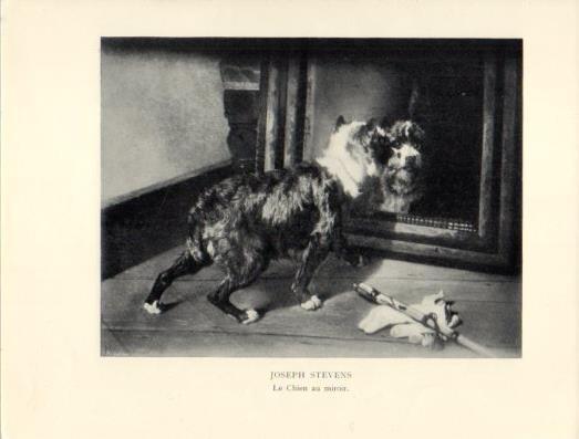 LAMINA V40360: Le Chien au miroir, Joseph Stevens