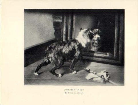 LAMINA V40360: Le Chien au miroir, Joseph Stevens