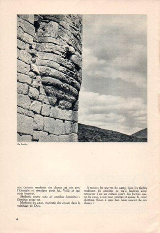 LAMINA V40331: En Lozere