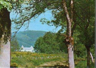 POSTAL PV10255: Roncesvalles, vista