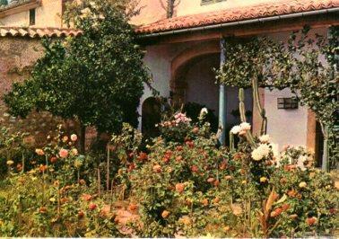 POSTAL PV10239: Jardin de la celda de Chopin, Valldemosa