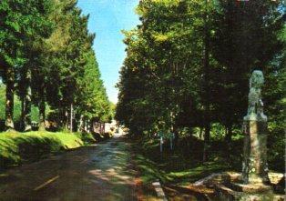 POSTAL PV10347: Real Colegiata de Roncesvalles, Cruz de los Peregrinos