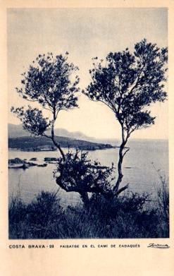 POSTAL PV10035: Paisatge en el Cami de Cadaques