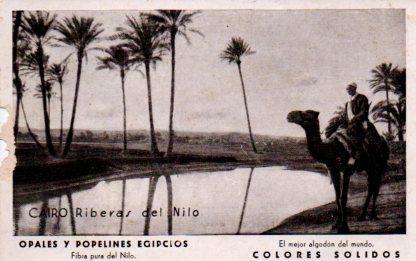 POSTAL PV09993: Riberas del Nilo, El Cairo