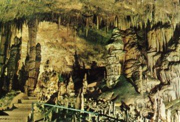 POSTAL PV10134: Cuevas del Drach en Mallorca. Monje y cactus