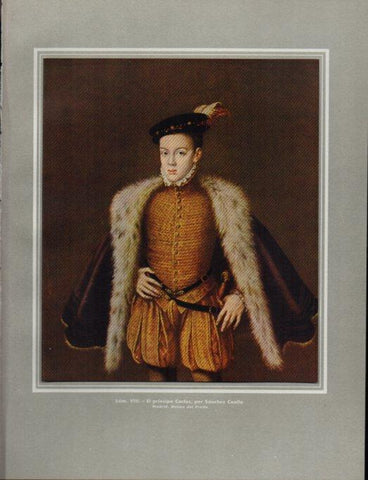LAMINA V41103: El principe Carlos por Sanchez Coello